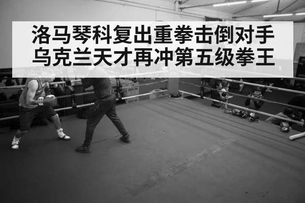boxer training gym