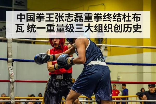 中国拳王张志磊重拳终结杜布瓦 统一重量级三大组织创历史