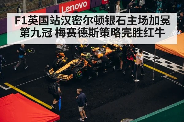 F1英国站汉密尔顿银石主场加冕第九冠 梅赛德斯策略完胜红牛