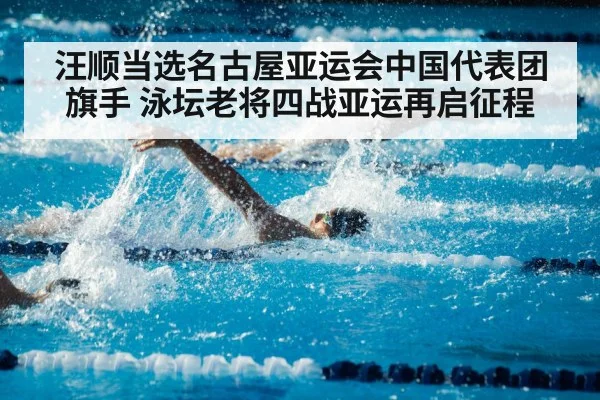 汪顺当选名古屋亚运会中国代表团旗手 泳坛老将四战亚运再启征程